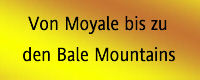 Von Moyale zu den Bale Mountains